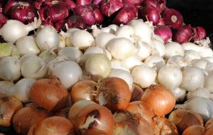 پیاز ارزان شد اما فقط در میادین! پیاز ارزان شد اما فقط در میادین!