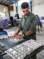 قیمت انواع تخم مرغ در بازار + جدول