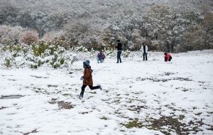 هشدار هواشناسی؛ بارش برف سنگین در ۶ استان هشدار هواشناسی؛ بارش برف سنگین در ۶ استان