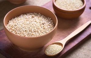 خواص فوق العاده و درمانی «کینوا» برای سلامتی بدن خواص فوق العاده و درمانی «کینوا» برای سلامتی بدن