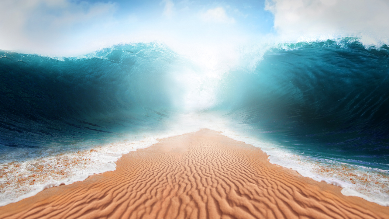 Opensea کارمزدها را به صفر رساند و مدل جدید درآمد سازنده را در پاسخ به تغییر چشم‌انداز NFT اعلام کرد