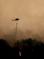 آتش‌نشانان با ده‌ها آتش‌سوزی در شیلی با تمدید اضطراری مبارزه می‌کنند