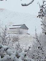 ارتفاع برف در طالقان رکورد زد + فیلم