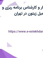 استخدام حسابدار و کارشناس برنامه ریزی و تولید در شرکت مبل زیتون در تهران