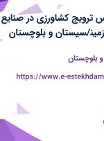 استخدام کارشناس ترویج کشاورزی در صنایع شیمیایی کرمان زمین/سیستان و بلوچستان