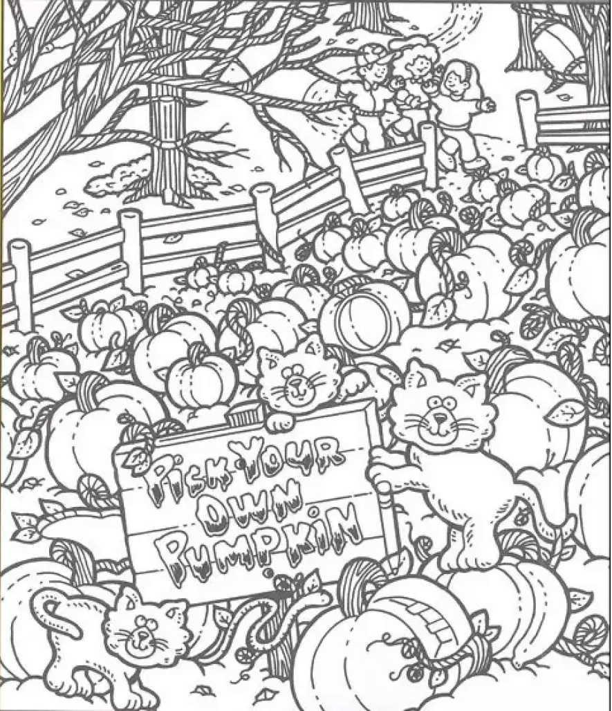 تست بینایی حلقه نامزدی