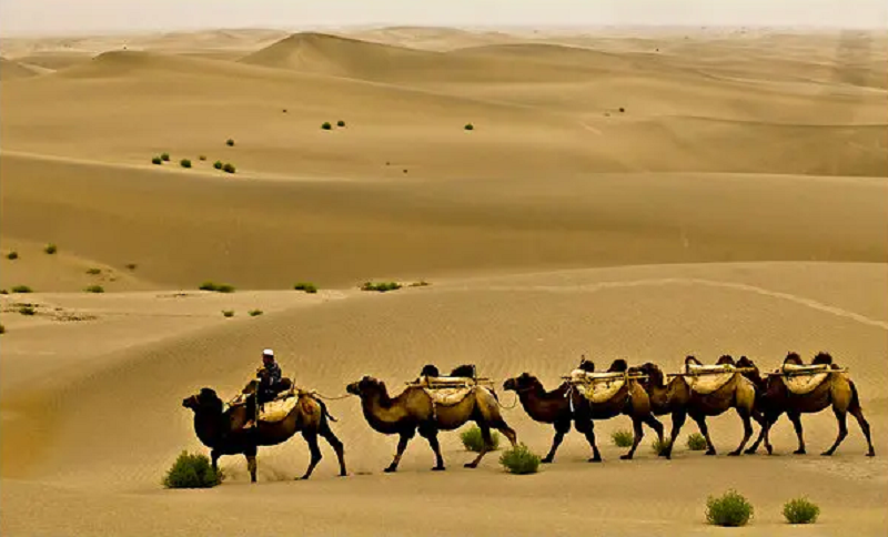 جاده ابریشم