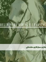 دوره سوارکاری مقدماتی – دوره | مدرک معتبر