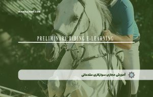 دوره سوارکاری مقدماتی – دوره | مدرک معتبر