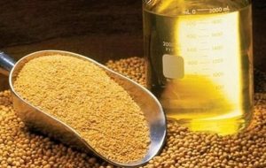 رسوب کردن ۱۵۰ هزار تن روغن خام در بنادر کشور