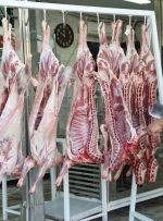 رییس مجمع ملی صادر کنندگان دام : قیمت ۲۵۰ هزار تومانی گوشت گرم گوسفندی منطقی است