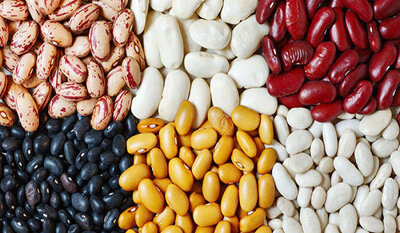 فواید شگفت‌انگیز و درمانی انواع لوبیا برای سلامت بدن