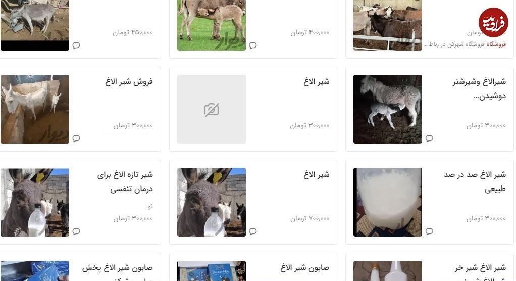 قیمت‌های باورنکردنی شیر و روغن الاغ