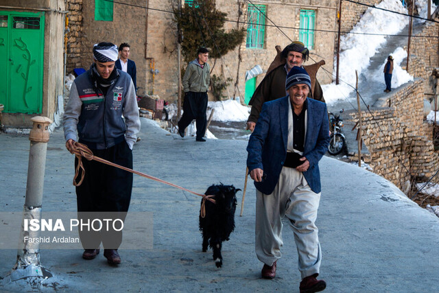 مهمان «عروسی پیر شالیار» شوید