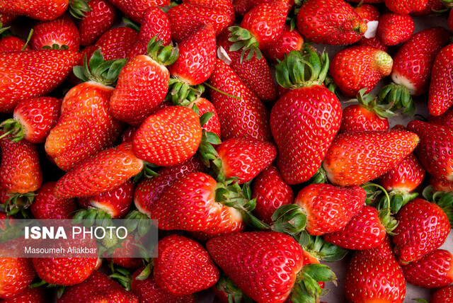 کشف تریاک با طعم توت‌فرنگی/ شیشه‌فروش جنوب تهران دستگیر شد