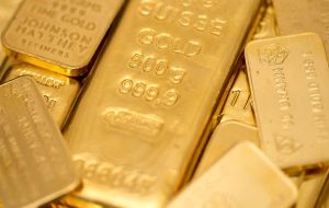 گاوهای طلا پس از اجرای قوی در سال 2023 خسته به نظر می رسند