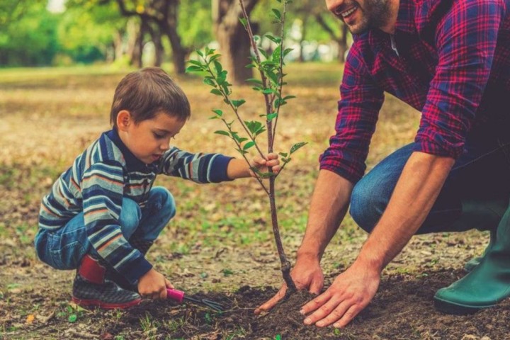 پدر و پسری در حال کاشت درخت