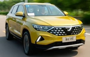 دورگه‌های آلمانی_چینی در راه ایران/ عکس