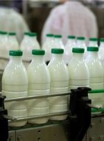 تغییرات یک‌ساله قیمت شیر/ یک لیتر شیر پرچرب چند شد؟