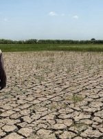 پیش بینی عجیب از بحران خشکسالی در کشور / تا ۱۵ سال آینده مازندران را بیابان خواهد شد!
