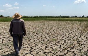 پیش بینی عجیب از بحران خشکسالی در کشور / تا ۱۵ سال آینده مازندران را بیابان خواهد شد!