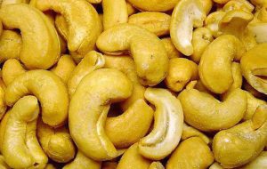 این مغز فواید اعجاب‌انگیزی دارد