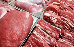 بازار گوشت به ثبات رسید