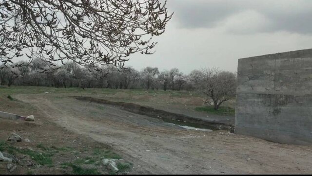 باغستان سنتی قزوین بار دیگر قربانی شد