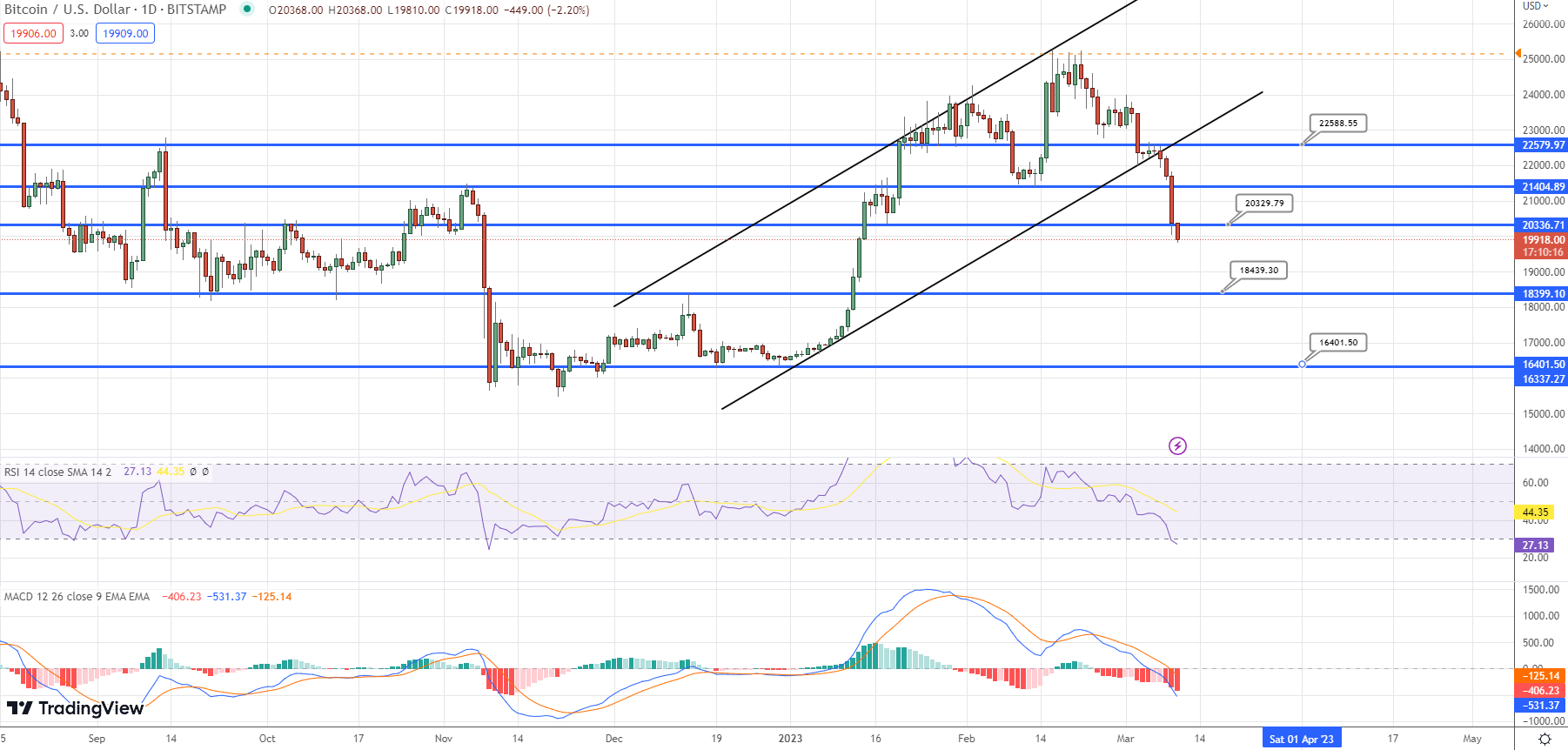 بررسی دلایل ریزش شدید بیت کوین و بازار رمزارزها | آیا امیدی به بازگشت قیمت وجود دارد؟