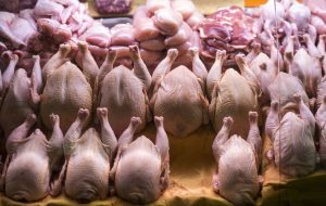 جدیدترین قیمت مرغ در بازار / هر کیلو مرغ چند شد؟