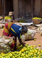 ساکنان ایالت Benue به تجارت مبادله ای متوسل می شوند – اخبار بیت کوین آفریقا