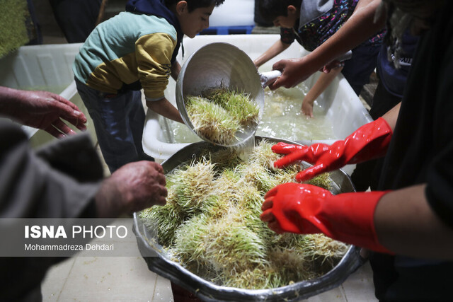 «سمنوپزان»، میراث معنوی قزوینی‌ها در آستانه نوروز