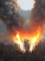 شلیک چند موشک کروز از سوی کره شمالی