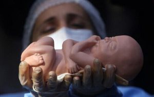 فرزندان متولد ۱۴۰۲، سهام عدالت میگیرند