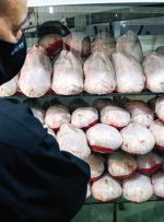 قیمت انواع مرغ در بازار/ ران و سینه بدون پوست چند؟
