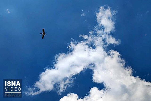 ویدیو / مراسم برگشت حاجی لک‌لک!