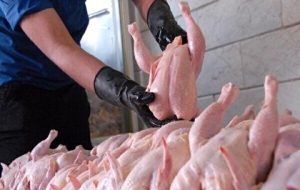 کاهش قیمت مرغ در بازار