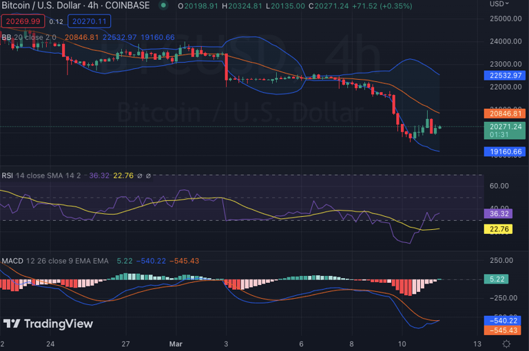گاوها به بازار بازگشتند/ بیت‌کوین پیش خواهد رفت؟