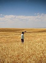 استفاده از آب سبز مهمترین اهداف طرح جهش تولید در دیمزارها