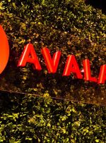 زیرشبکه جدید Avalanche برای ارائه سفارشی سازی بلاک چین برای موسسات مالی