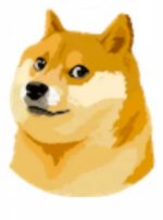 پس از اینکه توییتر ایلان ماسک از لوگوی سگ توکن استفاده نکرد، Dogecoin کاهش یافت