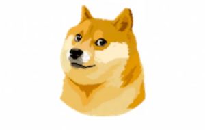 پس از اینکه توییتر ایلان ماسک از لوگوی سگ توکن استفاده نکرد، Dogecoin کاهش یافت