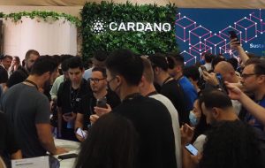 توکن بیت کوین پیچیده شده در Cardano Testnet فعال می شود