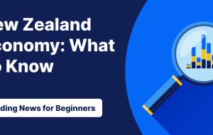 آنچه باید در مورد اقتصاد نیوزلند بدانید