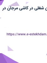 استخدام 5 عنوان شغلی در کاشی مرجان در اصفهان