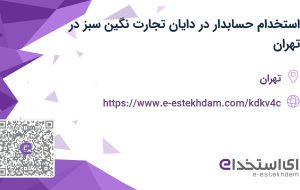 استخدام حسابدار در دایان تجارت نگین سبز در تهران