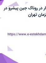 استخدام حسابدار در روناک جین پیشرو در شهرک صاحب الزمان تهران