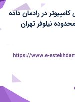 استخدام مهندس کامپیوتر در رادمان داده پردازی فرنام در محدوده نیلوفر تهران