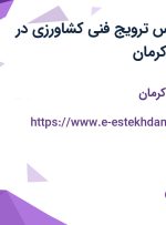 استخدام کارشناس ترویج فنی کشاورزی در تهران، فارس و کرمان