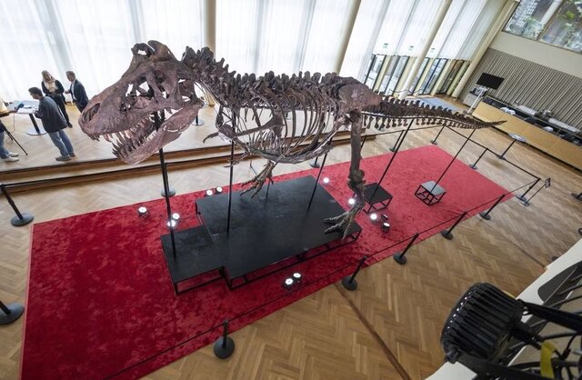 اسکلت ۶ میلیون دلاری